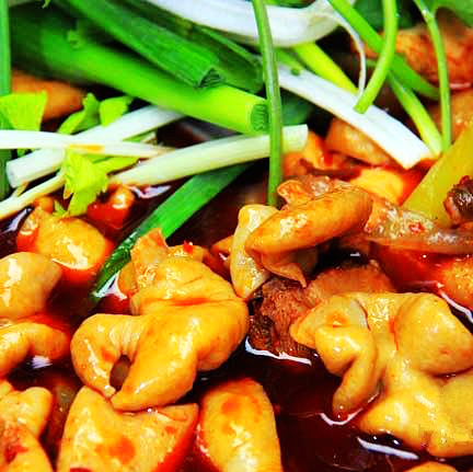 20240925141357137972.jpg 肥腸雞02.jpg